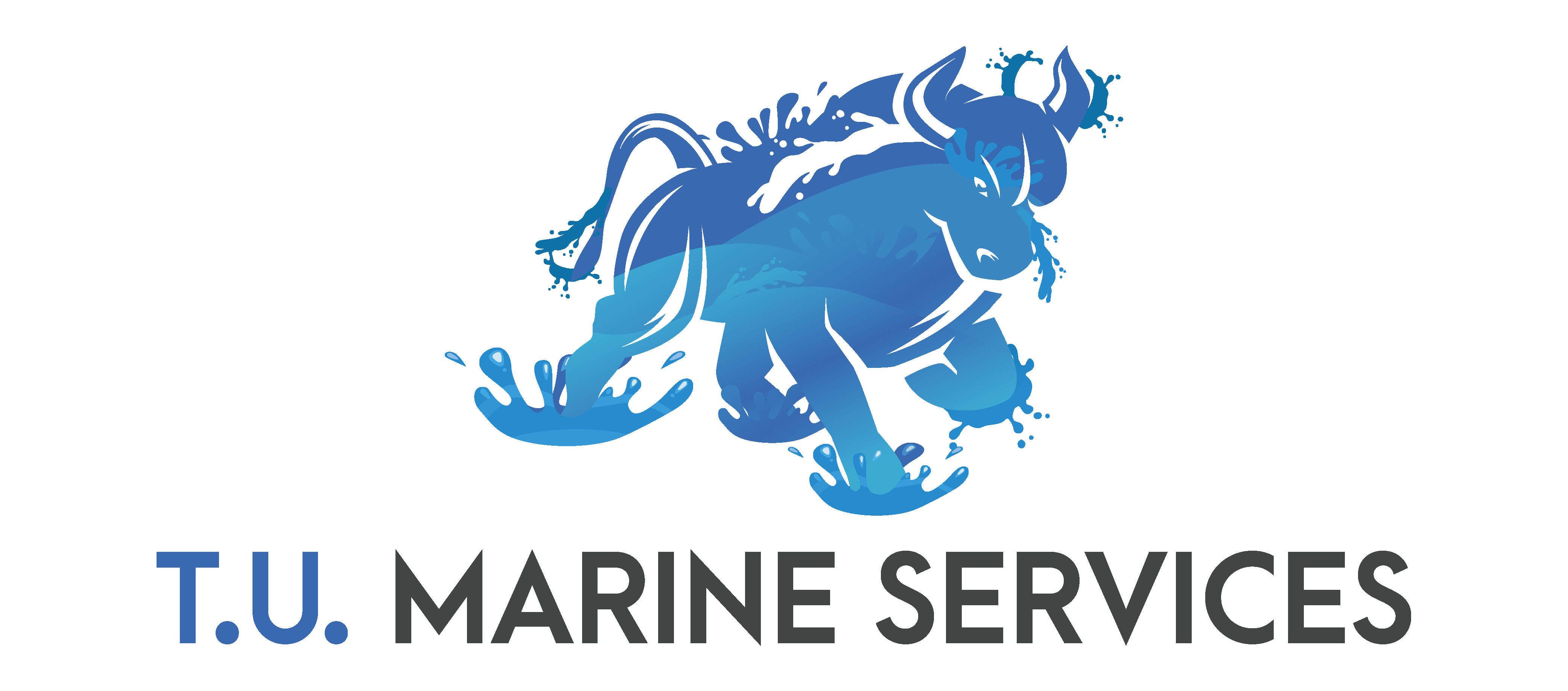 TU Marine Services